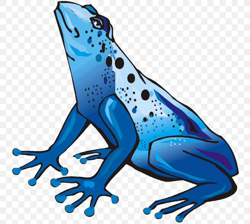 Green And Black Poison Dart Frog Blue Poison Dart Frog Clip Art, PNG, 750x734px, Frog, Amphibian, Art, Artwork, Australian Green Tree Frog Download Free
