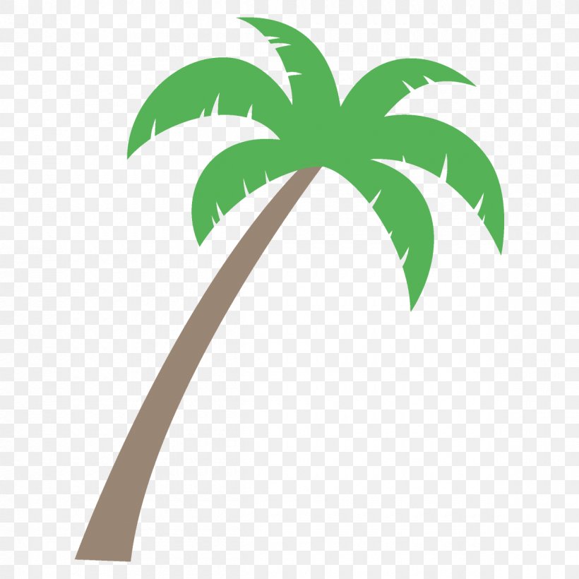 Palm Tree, PNG, 1200x1200px, Leaf, Arecales, Green, Palm Tree, Plant Download Free