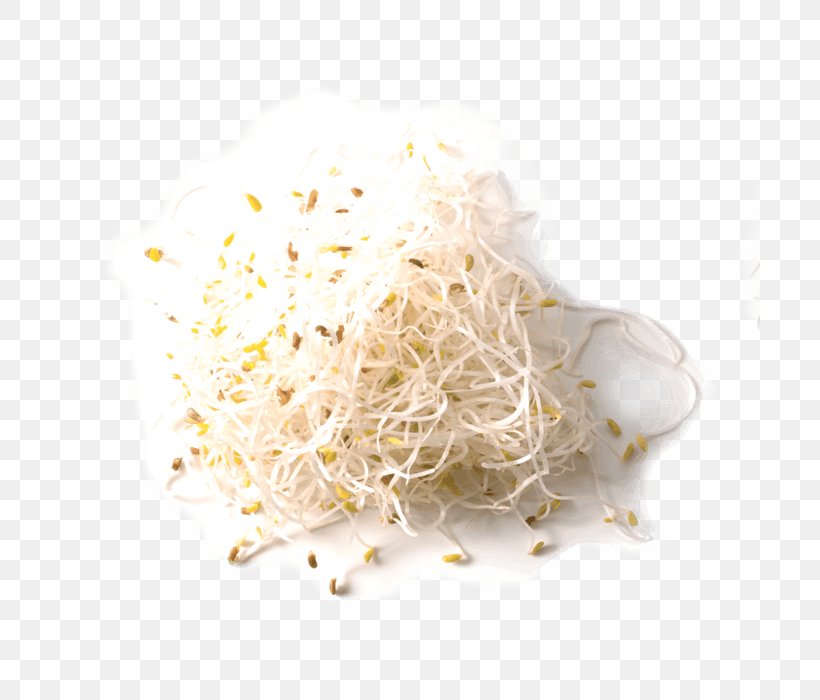 Stock Photography Image Popcorn Download, PNG, 700x700px, Stock Photography, Alfalfa, Alfalfa Sprouts, Commodity, Food Download Free