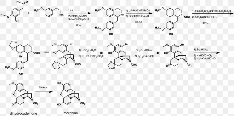 Total Synthesis Of Morphine And Related Alkaloids Rice Document, PNG, 1760x874px, Watercolor, Cartoon, Flower, Frame, Heart Download Free