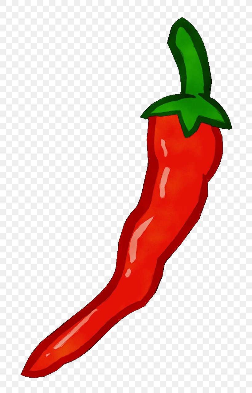 Vegetable Cartoon, PNG, 720x1280px, Watercolor, Bell Pepper, Bell Peppers And Chili Peppers, Capsicum, Cayenne Pepper Download Free
