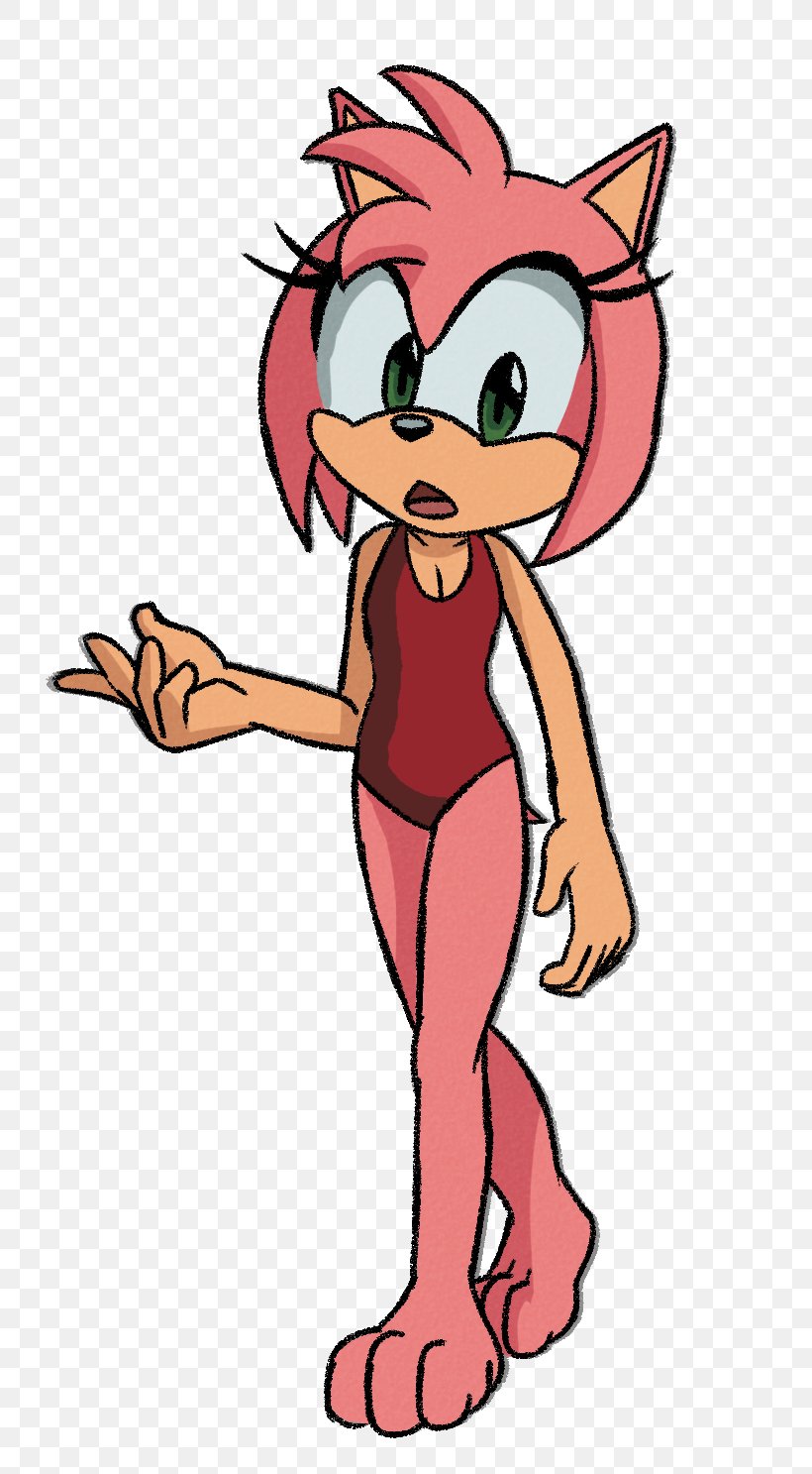 Amy Rose Sonic The Hedgehog Sonic Generations Sonic Chronicles: The Dark Brotherhood Sonic Classic Collection, PNG, 810x1487px, Watercolor, Cartoon, Flower, Frame, Heart Download Free