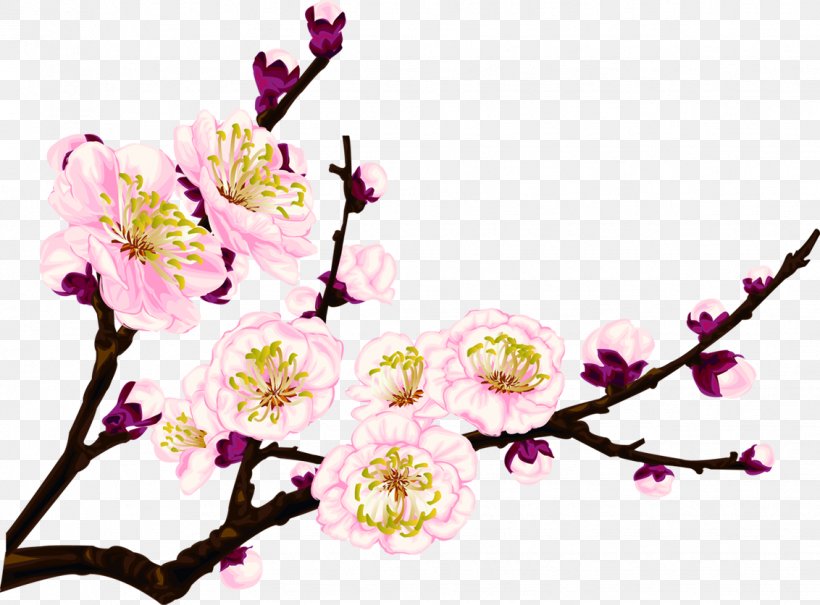 Clip Art, PNG, 1132x836px, Plum, Blossom, Branch, Cherry Blossom, Coreldraw Download Free