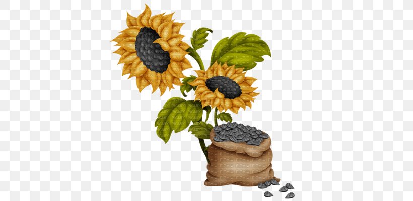 Common Sunflower Sunflower Seed Clip Art, PNG, 400x400px, Common Sunflower, Daisy Family, Digital Scrapbooking, Floral Design, Flower Download Free