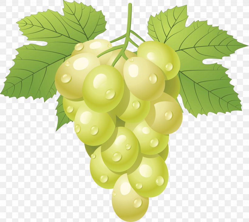 Juice Fruit Grape Clip Art, PNG, 3512x3138px, Kyoho, Common Grape Vine, Food, Fruit, Grape Download Free
