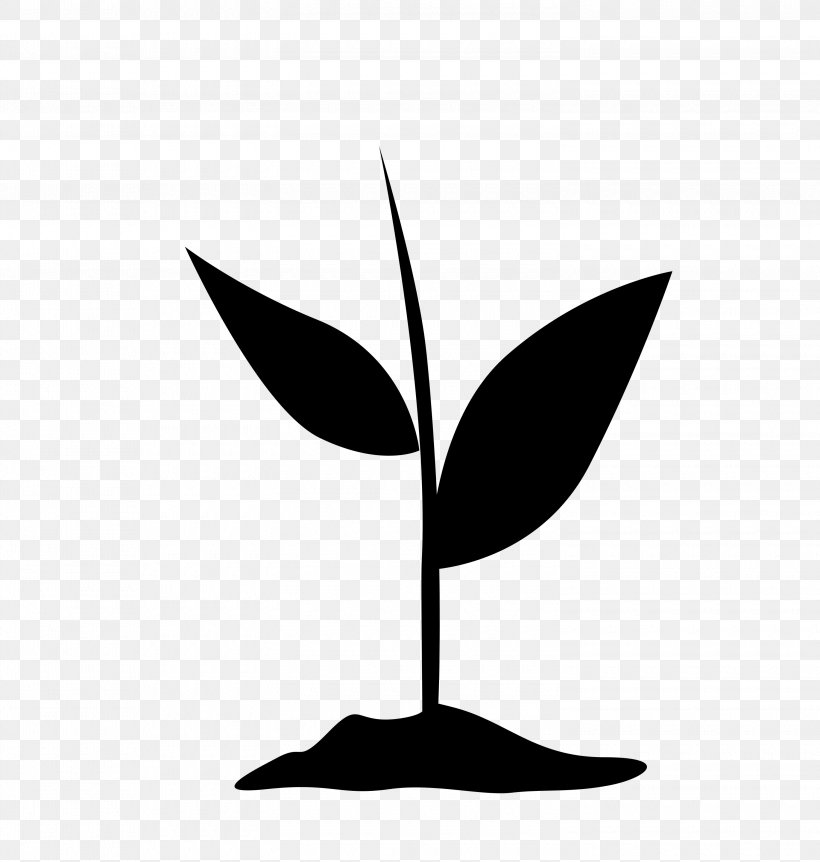 Leaf Plant Stem Clip Art Silhouette Branching, PNG, 3000x3154px, Leaf, Blackandwhite, Botany, Branching, Flower Download Free