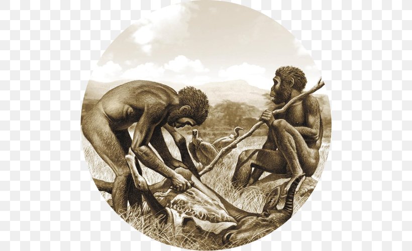 Prehistory Neanderthal Herto Man Homo Habilis Ethical Omnivorism, PNG, 500x500px, Prehistory, Bipedalism, Brain Size, Great Apes, Homo Download Free
