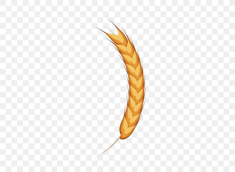 A Yellow Ear Of Wheat, PNG, 600x600px, Beer, Cereal, Commodity, Ear, Food Download Free