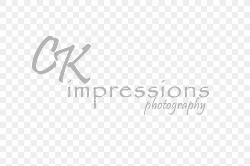 Logo Brand Line Font, PNG, 1528x1019px, Logo, Area, Banner, Brand, Calligraphy Download Free