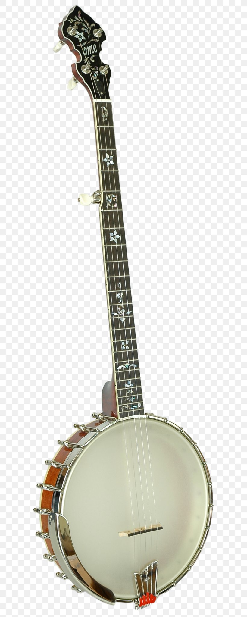 Banjo Guitar Acoustic Guitar Banjo Uke Acoustic-electric Guitar Mandolin, PNG, 617x2048px, Watercolor, Cartoon, Flower, Frame, Heart Download Free