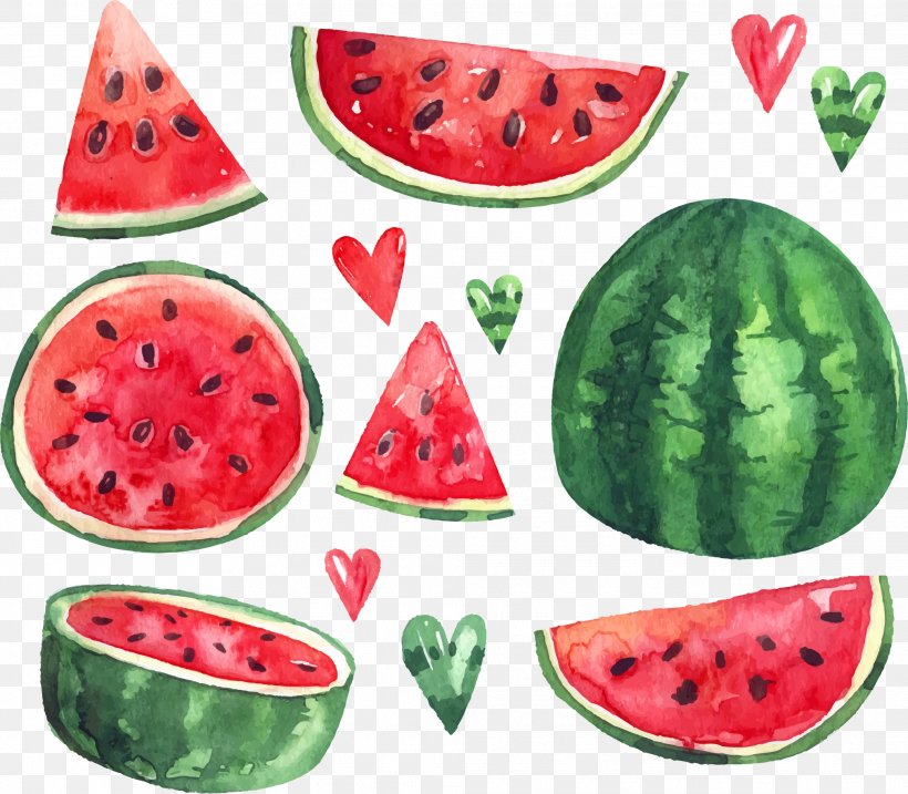 Watermelon Euclidean Vector Citrullus Lanatus Download, PNG, 2024x1771px, Watermelon, Citrullus, Citrullus Lanatus, Cucumber Gourd And Melon Family, Food Download Free