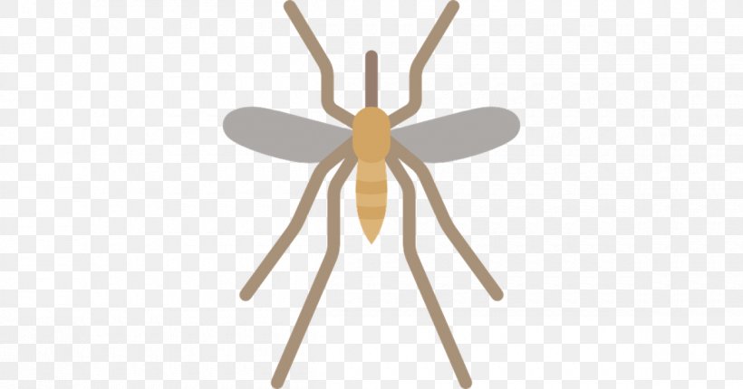 Insect Mosquito Animal Pest Control, PNG, 1200x630px, Insect, Animal, Arthropod, Charleston, Entomology Download Free