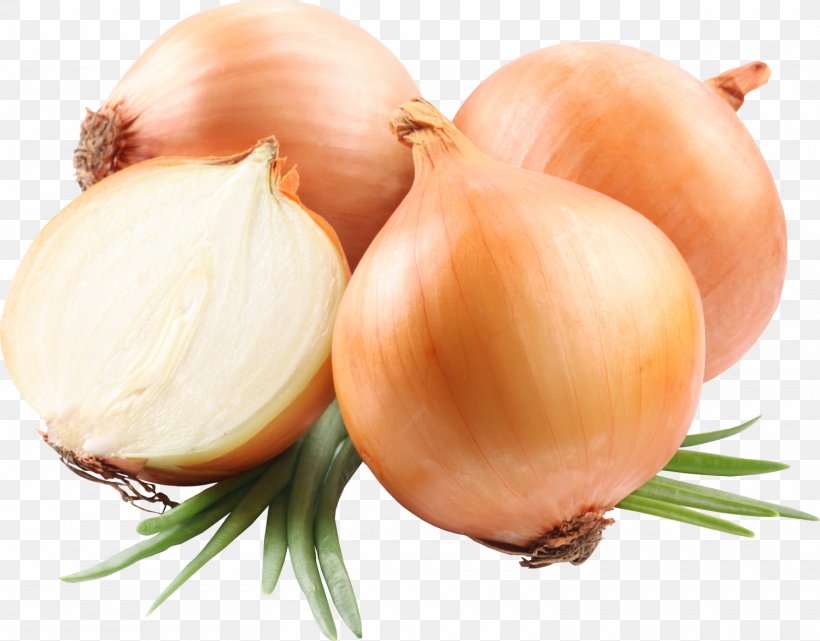 Red Onion Yellow Onion White Onion French Onion Soup, PNG, 1500x1173px, Red Onion, Display Resolution, Food, French Onion Soup, Garlic Download Free