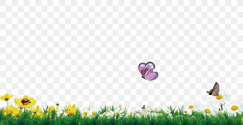 Butterfly Flower Grass Png 5433x2793px Butterfly Flower Flowering Plant Grass Green Download Free
