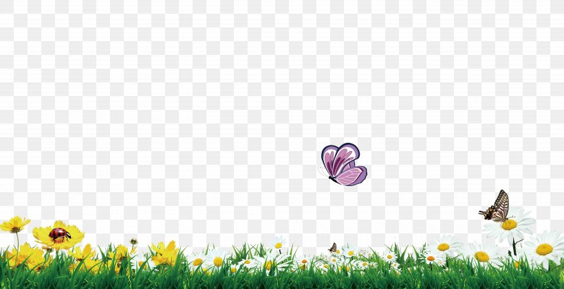 Butterfly Flower Grass, PNG, 5433x2793px, Butterfly, Flower, Flowering Plant, Grass, Green Download Free