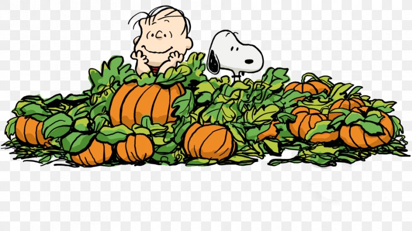 Charlie Brown Great Pumpkin Linus Van Pelt Woodstock Pig-Pen, PNG, 939x526px, Charlie Brown, Calabaza, Charles M Schulz, Charlie Brown Christmas, Cucumber Gourd And Melon Family Download Free
