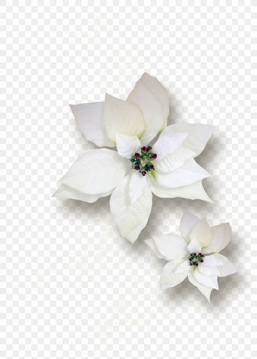 Cut Flowers Gardenia Floral Design Floristry, PNG, 1661x2325px, Flower, Cut Flowers, Family, Floral Design, Floristry Download Free