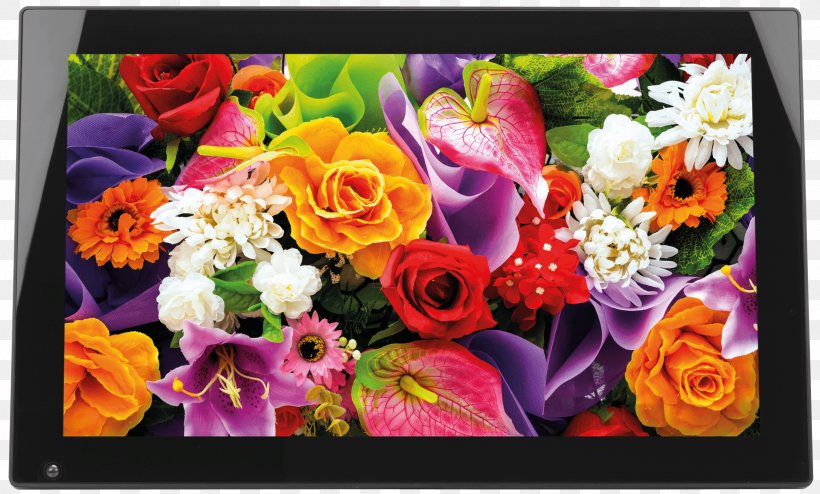 Desktop Wallpaper Flower Rainbow Rose Color Clip Art, PNG, 2362x1425px, Flower, Blue, Color, Computer, Cut Flowers Download Free