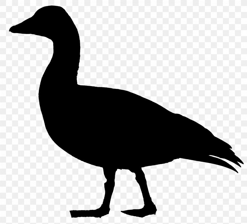 Duck Goose Clip Art Fowl Feather, PNG, 2796x2538px, Duck, American Black Duck, Beak, Bird, Blackandwhite Download Free