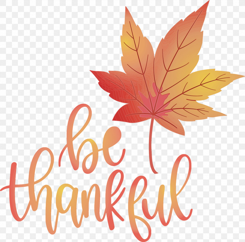 Maple Leaf, PNG, 3000x2960px, Thanksgiving, Be Thankful, Flower, Geometry, Give Thanks Download Free