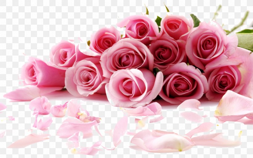 Rose Flower Desktop Wallpaper Stock.xchng Pink, PNG, 1440x900px, 4k Resolution, Rose, Artificial Flower, Computer, Cut Flowers Download Free