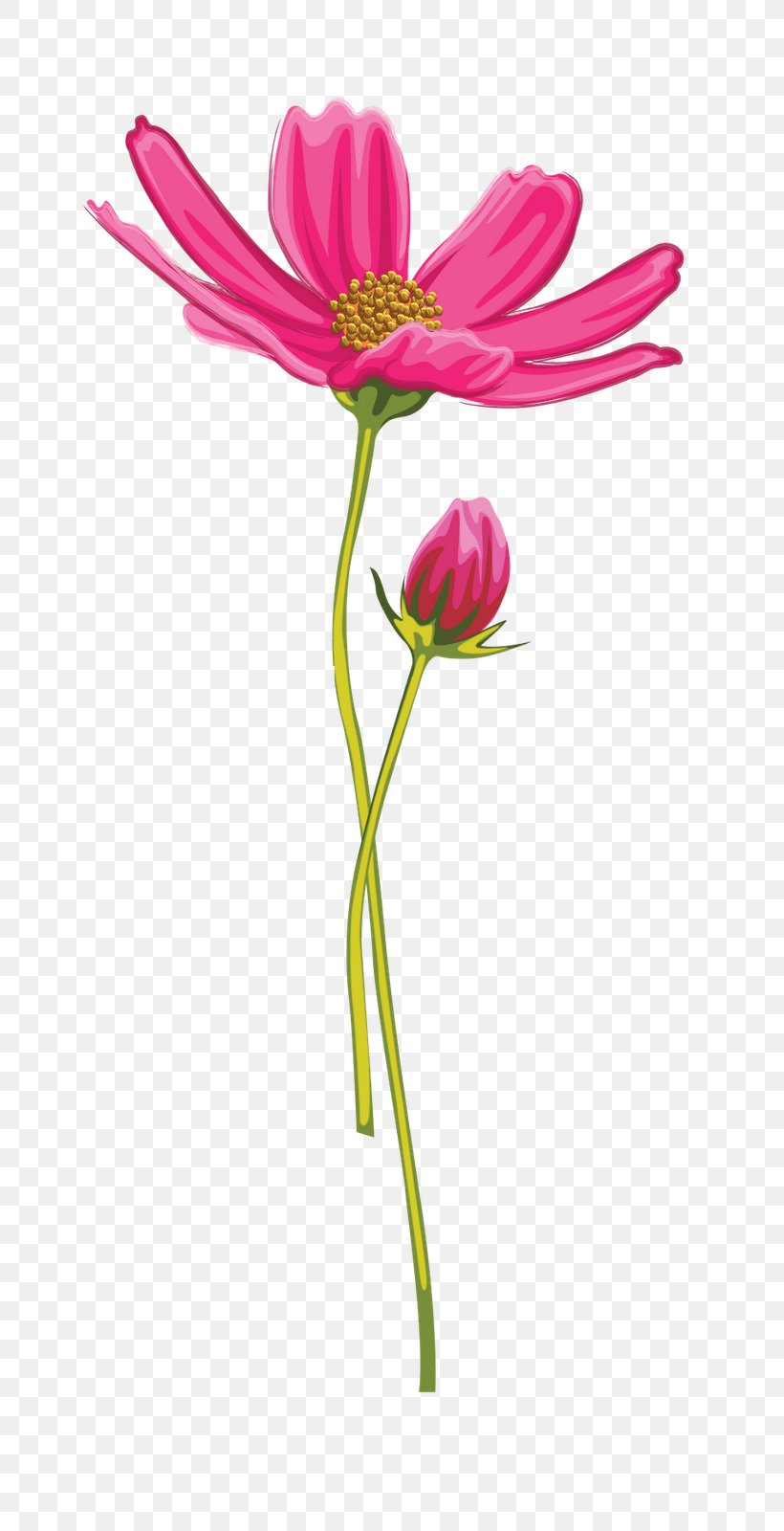 Diary Tulip Flower LiveInternet Blog, PNG, 805x1600px, Diary, Blog, Bud, Cut Flowers, Flora Download Free