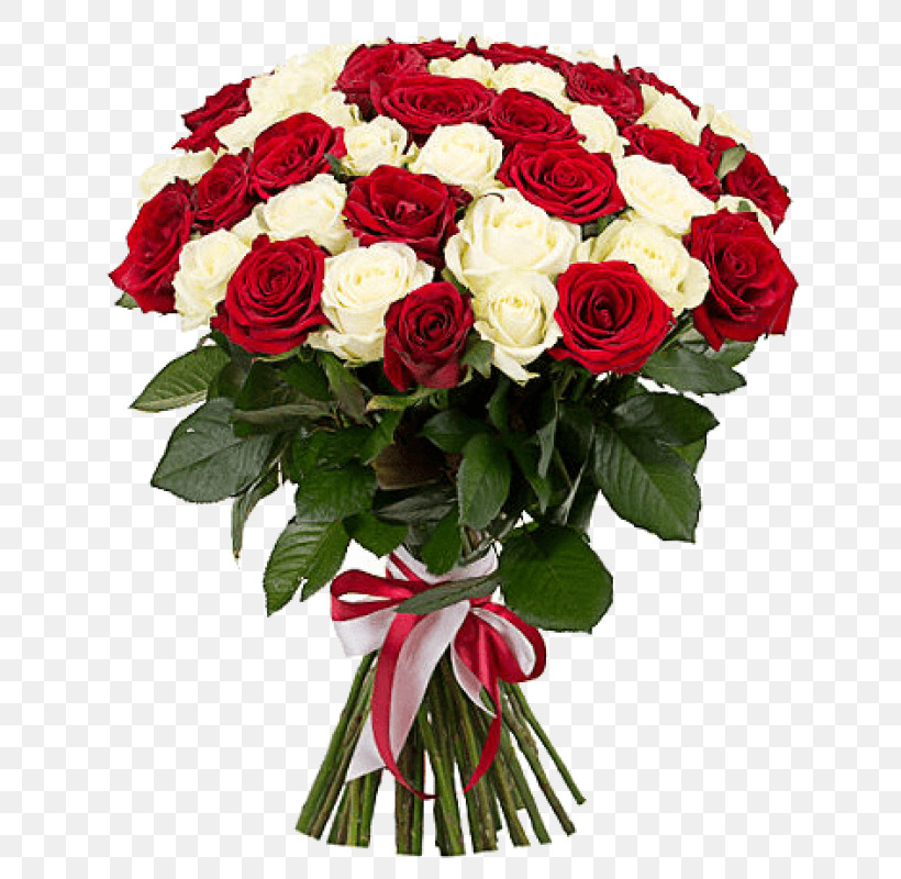 Garden Roses, PNG, 800x800px, Flower, Artificial Flower, Bouquet, Camellia, Cut Flowers Download Free