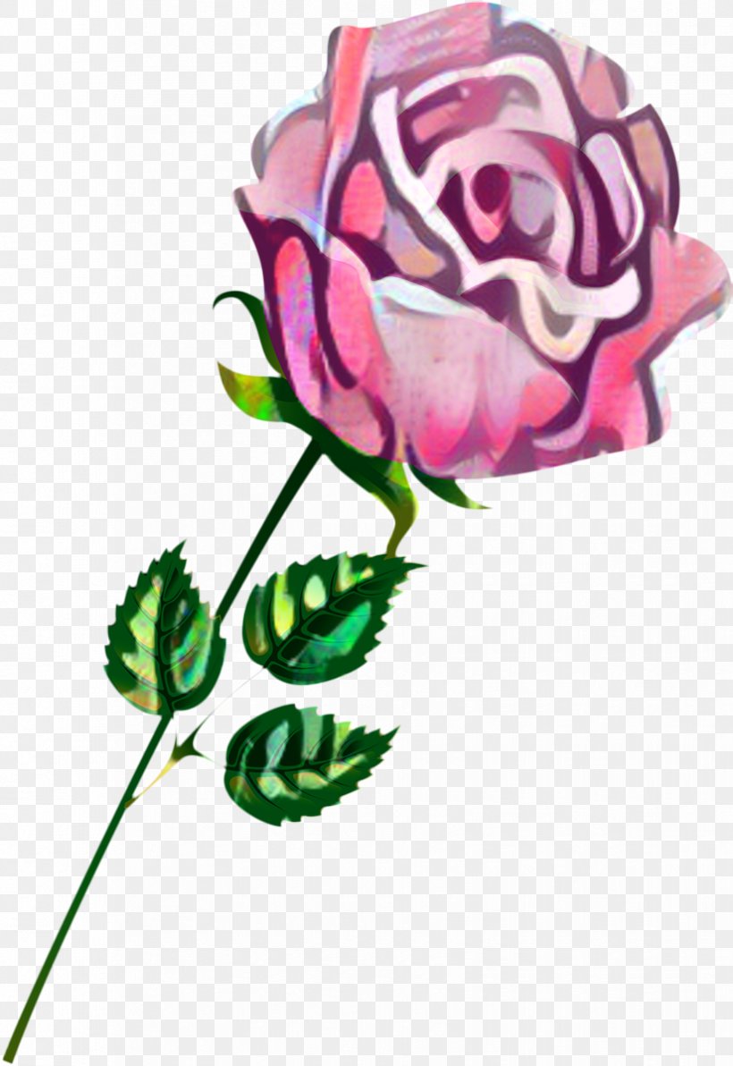 Garden Roses Illustration Image Clip Art, PNG, 825x1200px, Garden Roses, Botany, Bud, Cartoon, Cut Flowers Download Free