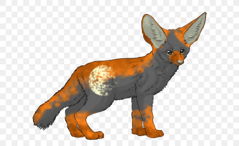 Red Fox Fennec Fox Canidae Carnivora, PNG, 600x500px, Red Fox, Animal, Canidae, Carnivora, Carnivoran Download Free