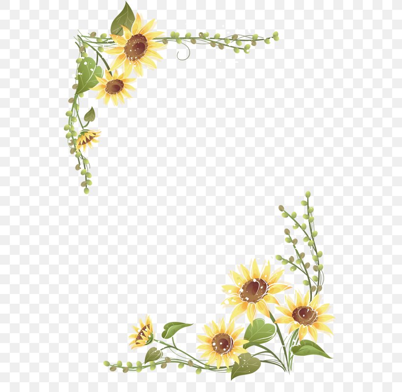 Common Sunflower Clip Art, PNG, 800x800px, Common Sunflower, Creative Work, Cut Flowers, Flora, Floral Design Download Free