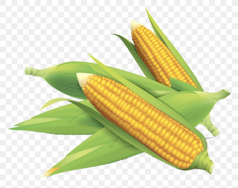 Corn On The Cob Maize Field Corn, PNG, 1000x789px, Corn On The Cob, Art, Commodity, Corncob, Decorative Arts Download Free