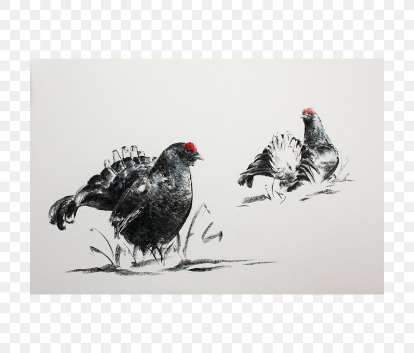 Watercolor Painting Rooster Rhinoceros Chicken, PNG, 700x700px, Painting, African Wild Dog, Beak, Big Five Game, Bird Download Free