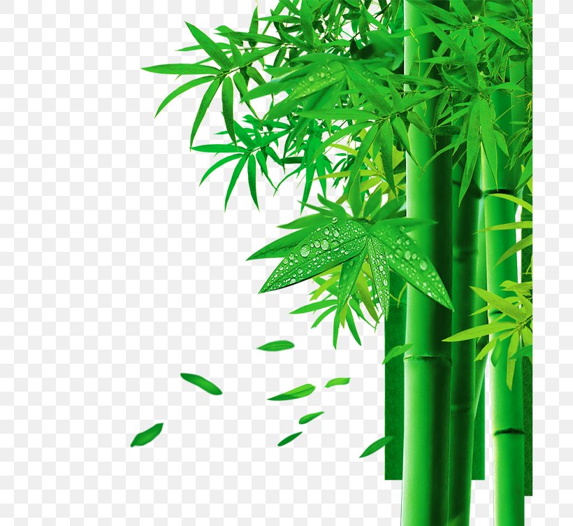 Zongzi Bamboo 3D Computer Graphics, PNG, 761x752px, 3d Computer Graphics, Zongzi, Bamboo, Cannabis, Dragon Boat Festival Download Free