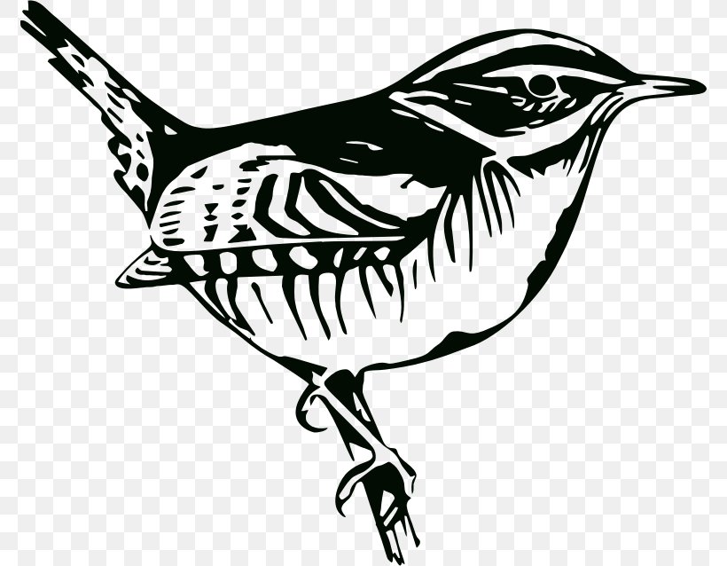 Bird Long-tailed Starling Photography Clip Art, PNG, 775x638px, Bird, Art, Beak, Black And White, Drawing Download Free