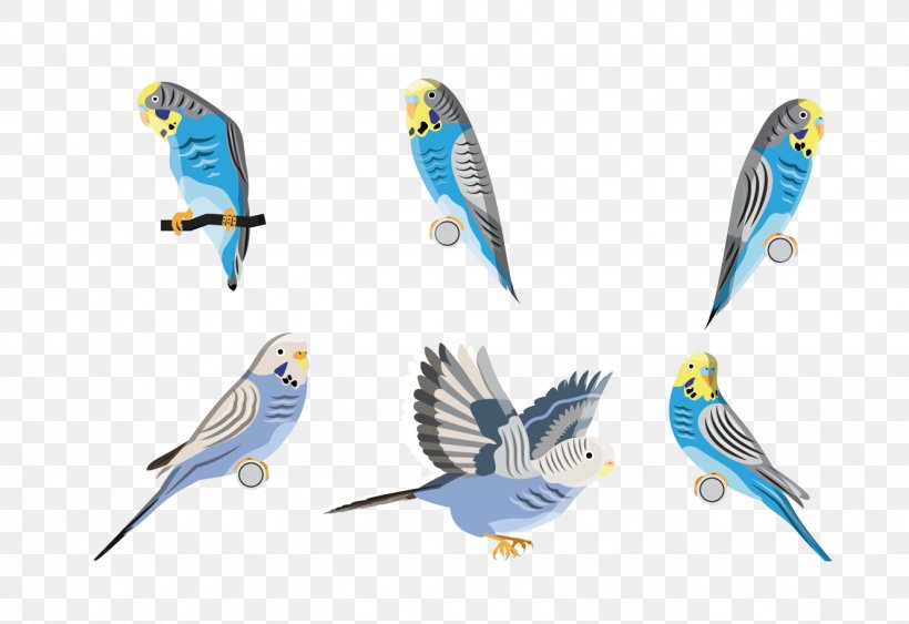 Budgerigar Parrot Bird, PNG, 1330x914px, Budgerigar, Beak, Bird, Cartoon, Common Pet Parakeet Download Free