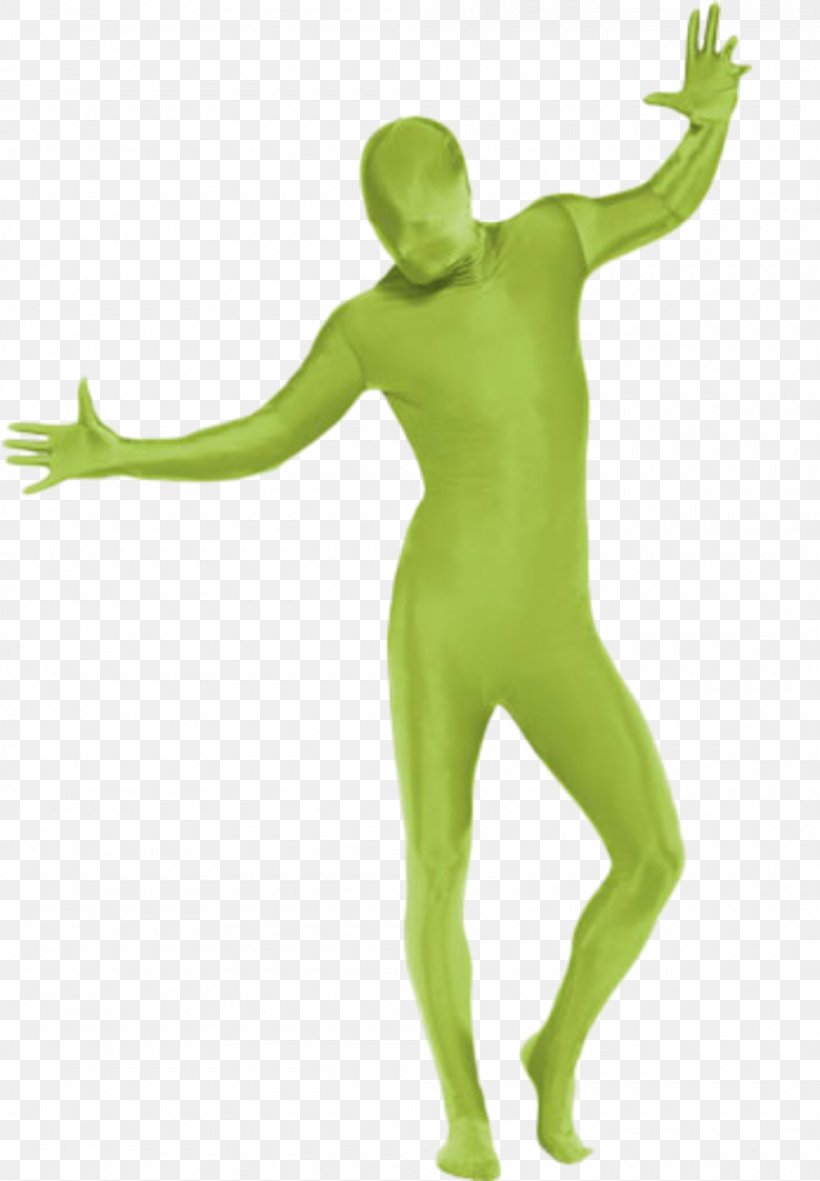 Costume Bodysuit Zentai Clothing, PNG, 1000x1441px, Costume, Amphibian, Arm, Bodysuit, Catsuit Download Free