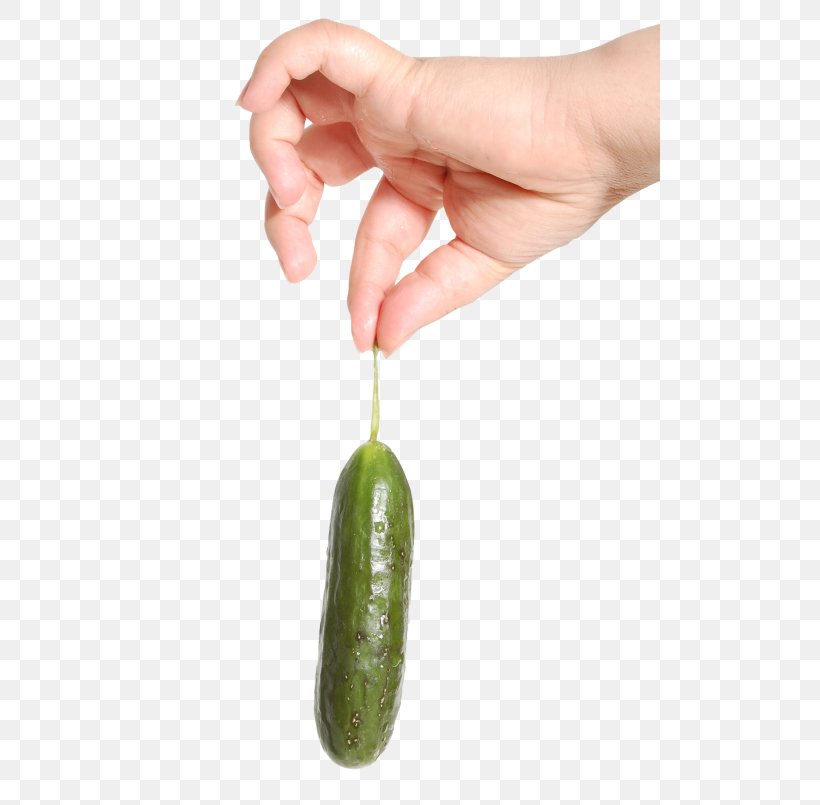 Cucumber Vegetable Fruit Hand, PNG, 500x805px, Cucumber, Finger, Fruit, Garnish, Hand Download Free