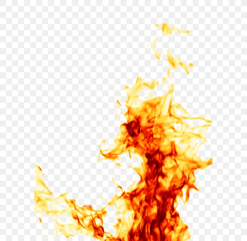 Stock Photography Walking Through Fire Flame, PNG, 591x800px, Stock Photography, Fire, Fire Investigation, Flame, Heat Download Free