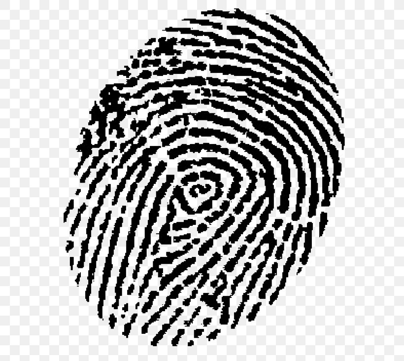 Automated Fingerprint Identification Device Fingerprint Biometrics Fingerprint Powder, PNG, 607x732px, Fingerprint, Area, Biometrics, Black, Black And White Download Free