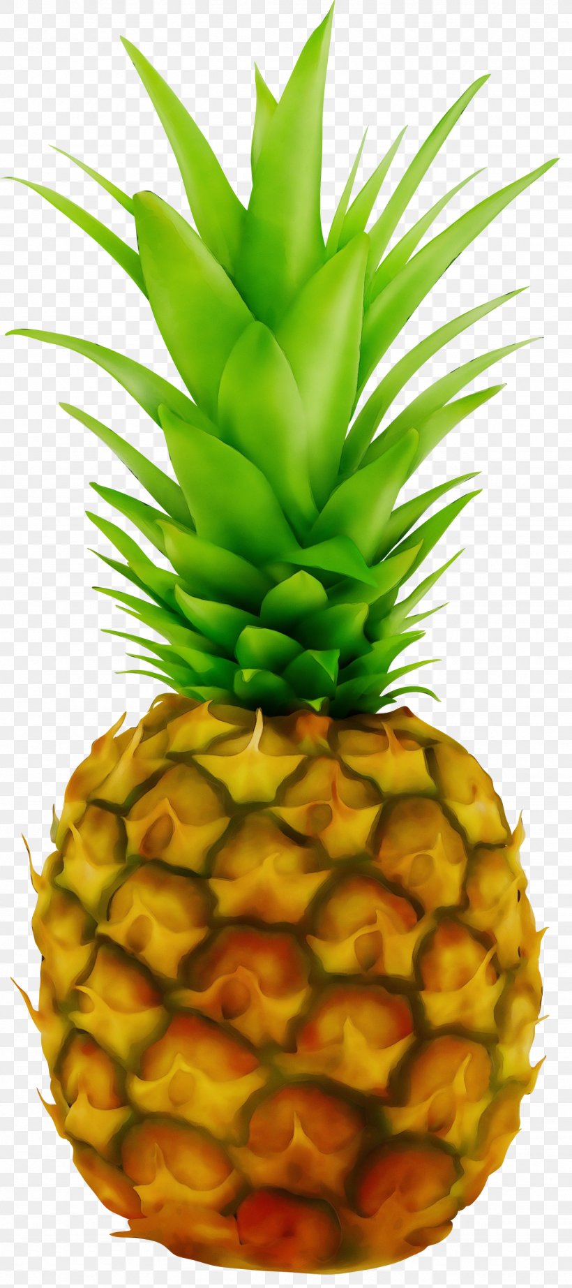 Pineapple Punch Juice Clip Art, PNG, 1333x3000px, Pineapple, Ananas ...
