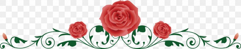 Rose Drawing Clip Art, PNG, 1600x328px, Rose, Cut Flowers, Drawing, Flora, Floral Design Download Free