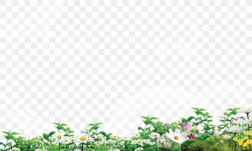 Flower Euclidean Vector Grass, PNG, 5249x3150px, Flower, Grass, Green, Leaf, Meadow Download Free