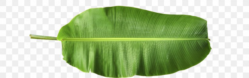 Banana Leaf, PNG, 960x303px, Banana Leaf, Banana, Grass, Green, Leaf Download Free