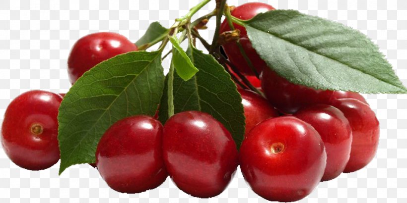 Barbados Cherry Fruit Food, PNG, 952x476px, Barbados Cherry, Acerola, Acerola Family, Apple, Apricot Download Free