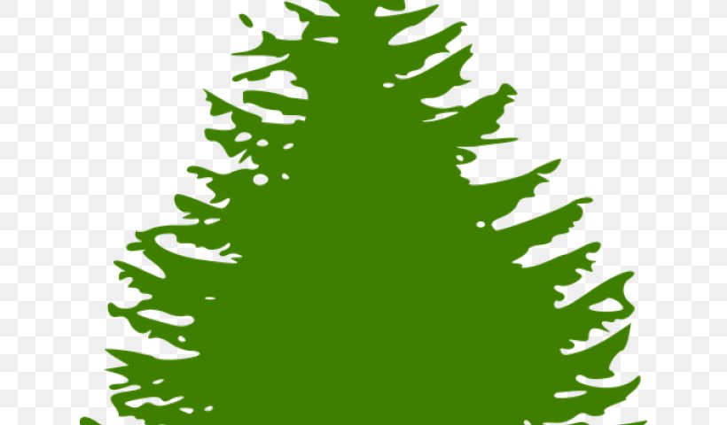 Clip Art Christmas Pine Free Content Tree, PNG, 640x480px, Pine, Branch, Christmas Decoration, Christmas Ornament, Christmas Tree Download Free