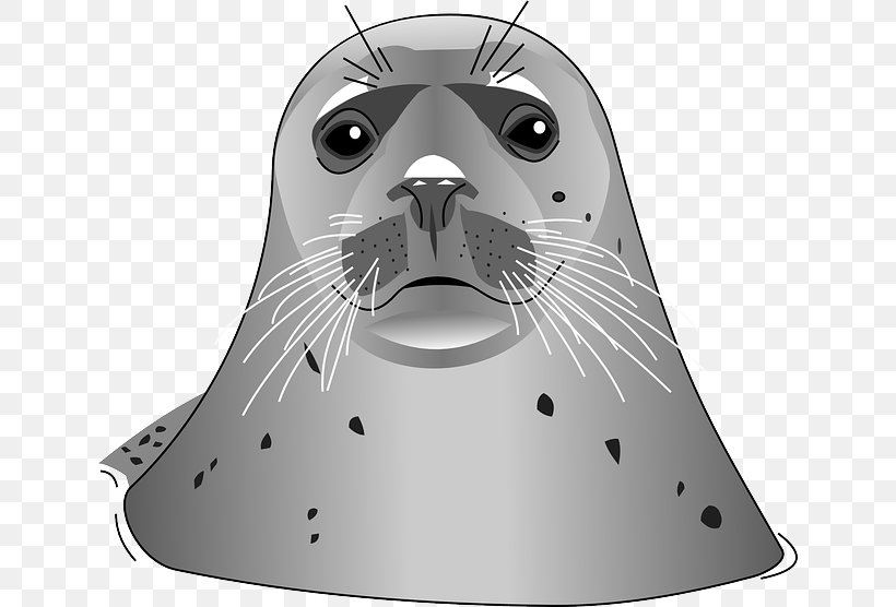 Earless Seal Free Clip Art, PNG, 640x556px, Pinniped, Beak, Bird, Black And White, Drawing Download Free