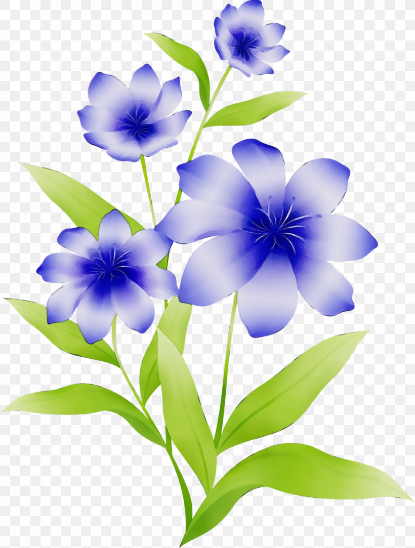 Flower Blue Plant Petal Violet, PNG, 969x1280px, Watercolor, Balloon Flower, Blue, Borage Family, Flower Download Free