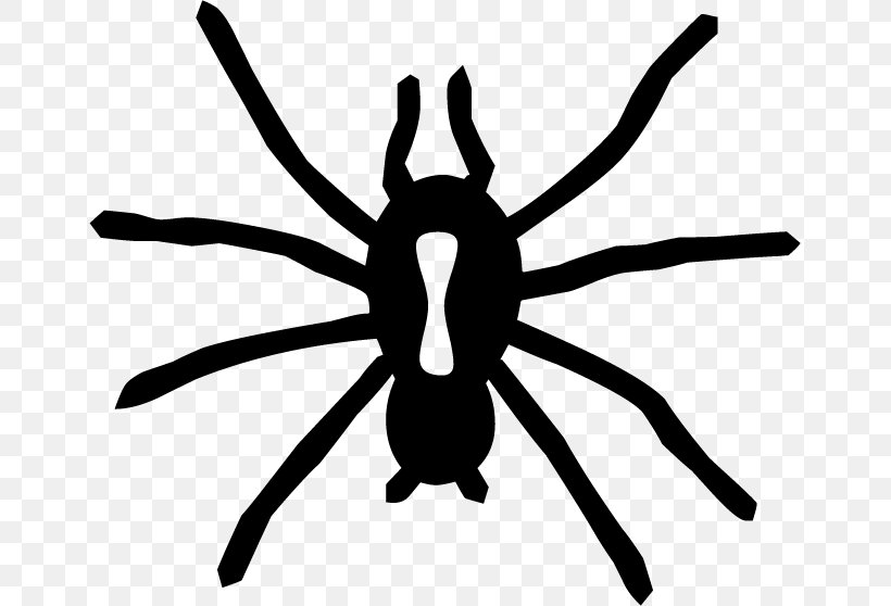 Spider Web Halloween Clip Art, PNG, 655x558px, Spider, Arthropod, Artwork, Black And White, Black House Spider Download Free