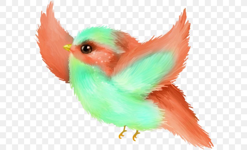Bird Parrot, PNG, 600x499px, Beak, Bird, Cake, Decoupage, Feather Download Free