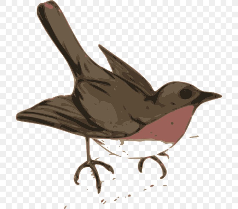 Bird Wren Cuckoos Clip Art, PNG, 712x720px, Bird, Beak, Cuckoos, Fauna, Feather Download Free